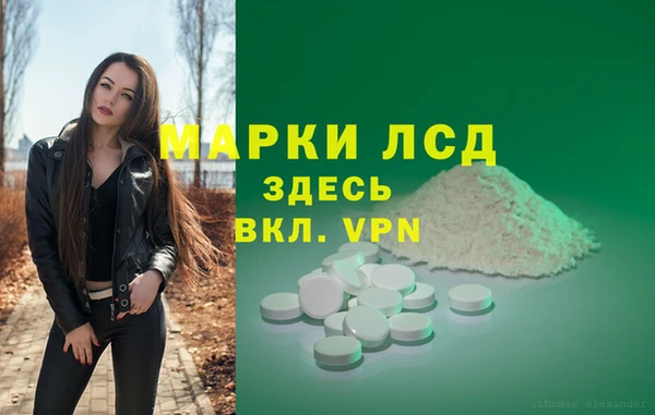 spice Коряжма