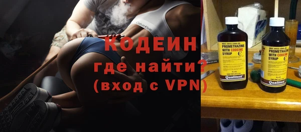прущие грибы Медвежьегорск