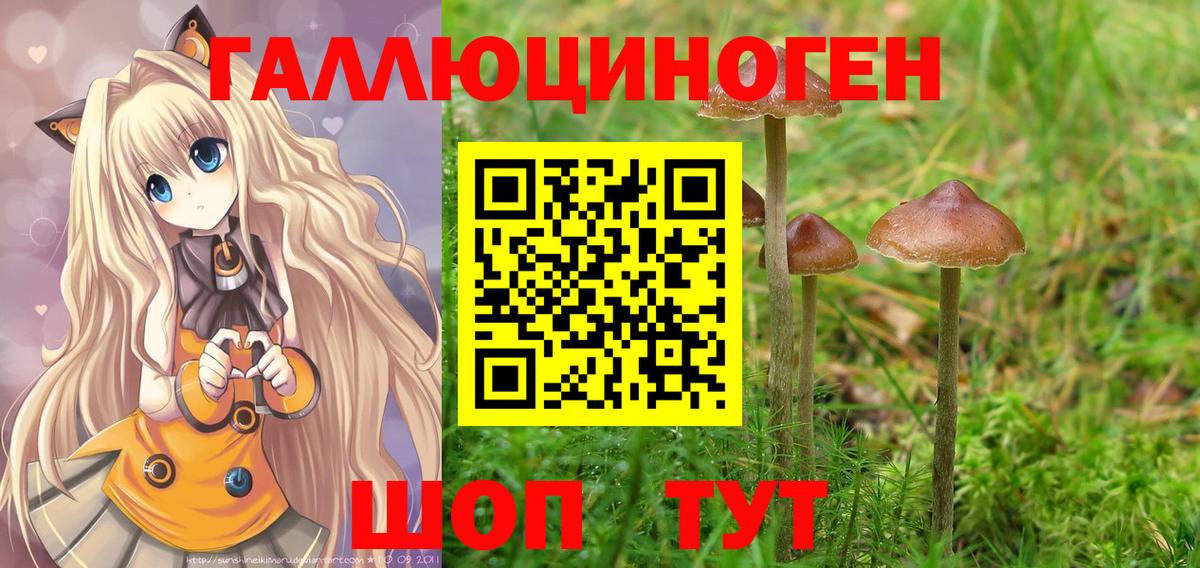 Галлюциногенные грибы Cubensis Волжский