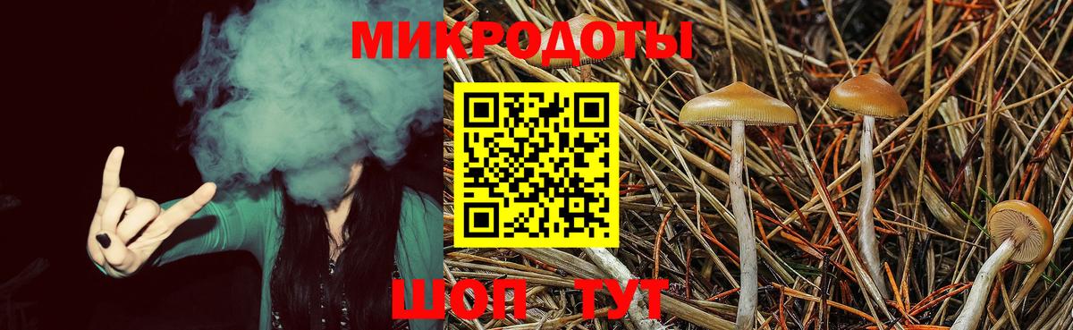 Галлюциногенные грибы MAGIC MUSHROOMS  Волжский  Псилоцибиновые грибы GOLDEN TEACHER 