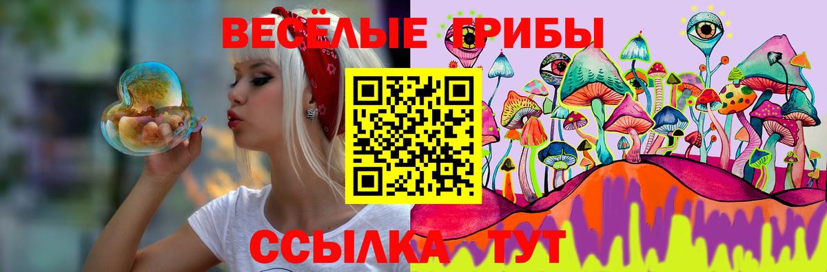 Псилоцибиновые грибы GOLDEN TEACHER  Вход с VPN  Волжский 